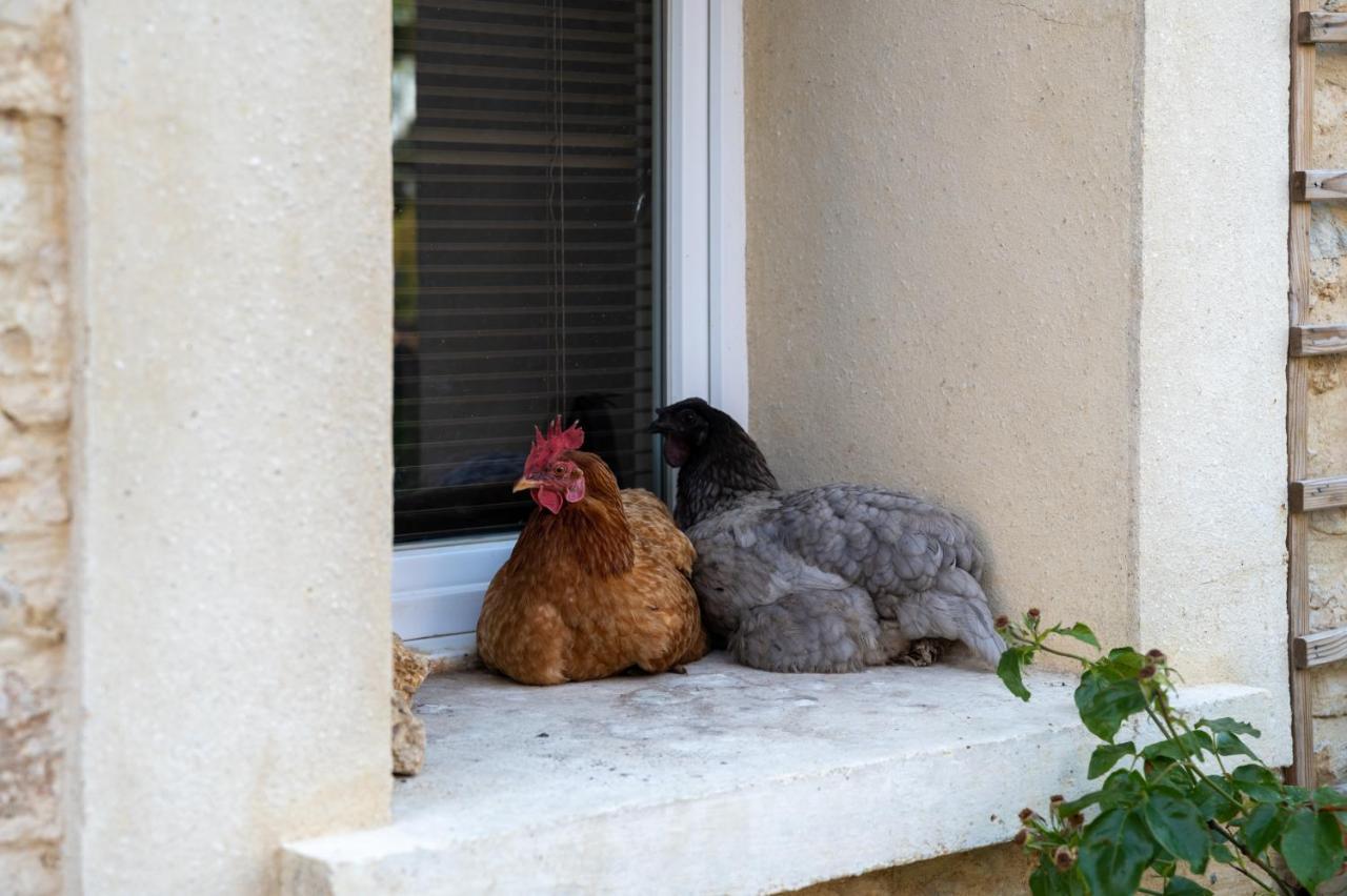 La Fralinette Bed & Breakfast Fralignes Dış mekan fotoğraf